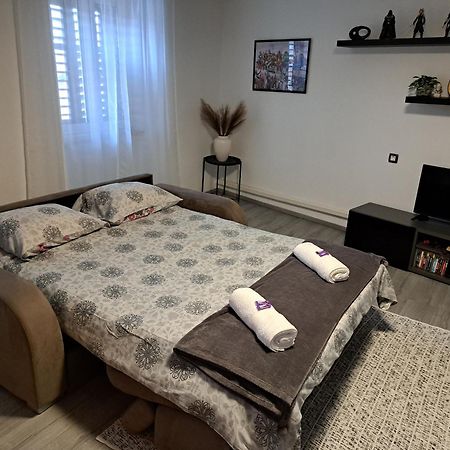 Apartman Darija 帕津 外观 照片