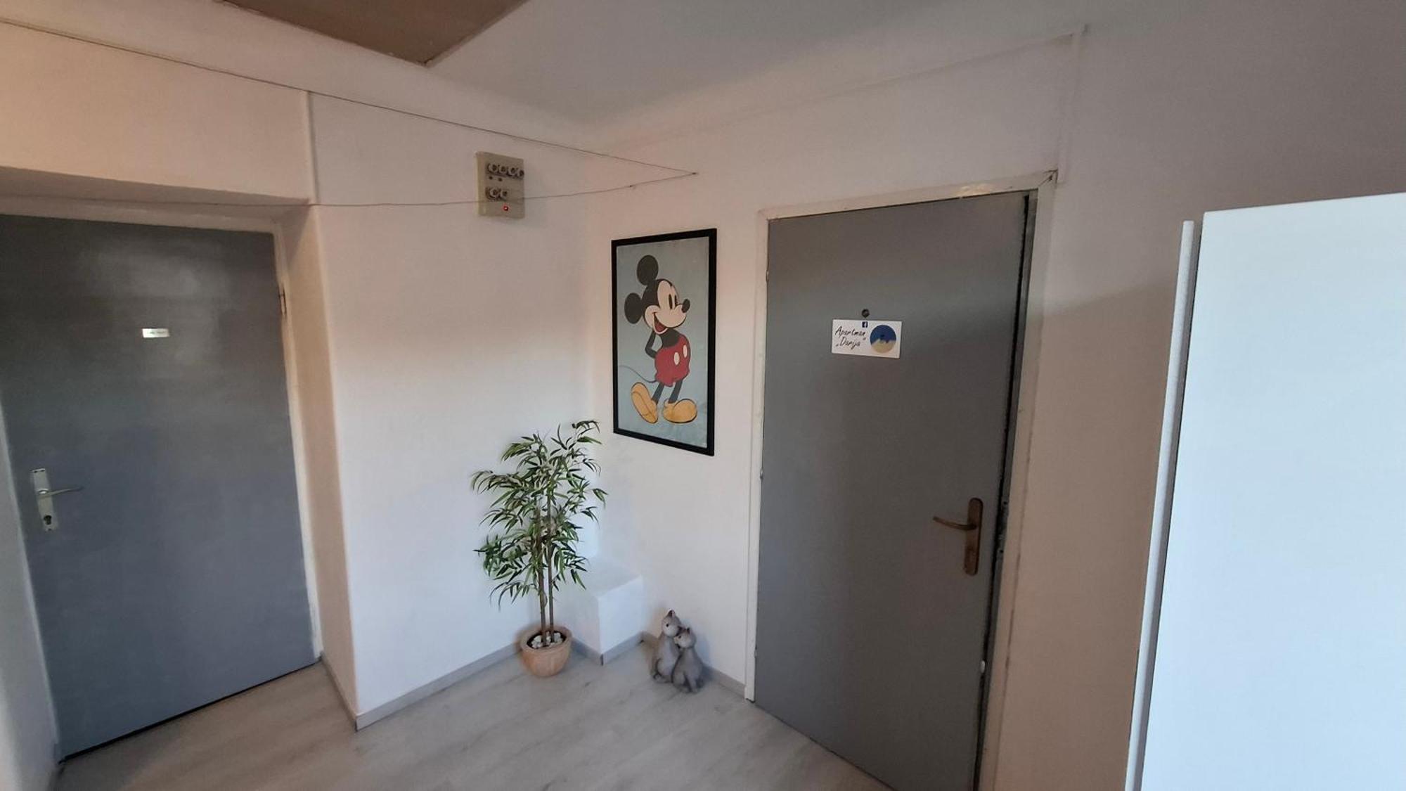 Apartman Darija 帕津 外观 照片