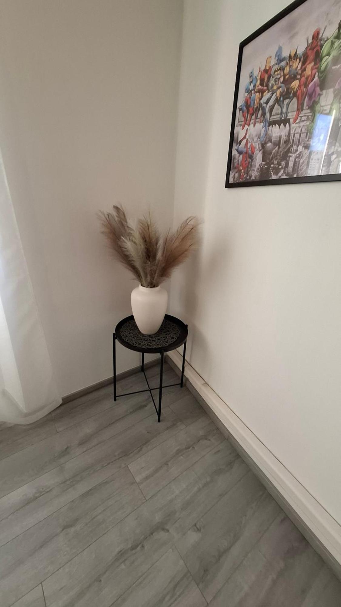 Apartman Darija 帕津 外观 照片